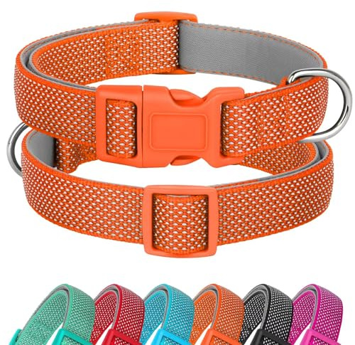 Didog Reflektierendes Hundehalsband mit Schnalle, verstellbar, weiches Neopren, gepolstert, Nylon, Haustierhalsbänder für kleine, mittelgroße und große Hunde, Orange, S