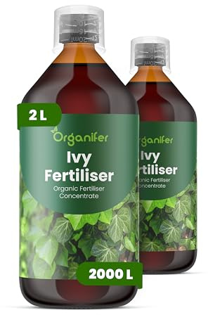 Fertilizzante liquido organico 2x1L per edera – radici forti e piante sane – Organifer