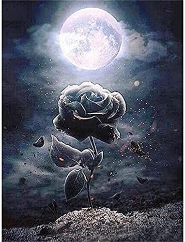 5D DIY Diamant Painting Bilder Groß, Nachtmond Schwarze Rose 25x30cm Diamond Painting Set,Diamant Gemälde,Full Strass Stickerei Kreuzstich Kunst Basteln Leinwand Haus Wand Und Eingang Dekorationen