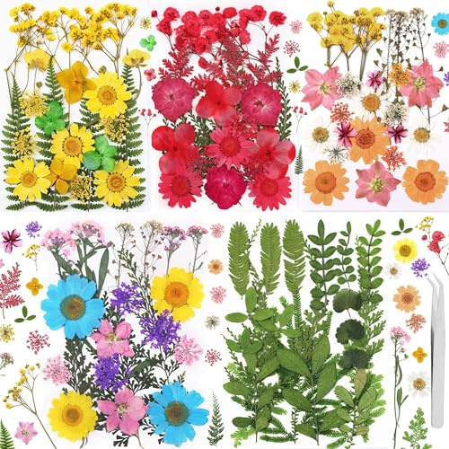 Gepresste Blumen, Natürliche Getrocknete Blüten, Mehrfarbige Trockenblumen Zum Basteln für DIY Harz Schmuck Nagel Handwerk Sammelalbum Dekorationen (146, small)