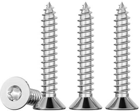 Drenky 100 Stück Holzschrauben Edelstahl M5x25 mm Torx Schrauben Aus Rostfrei A2 V2A Vollgewinde Madenschrauben M5 Spanplattenschrauben Universalschrauben TX25
