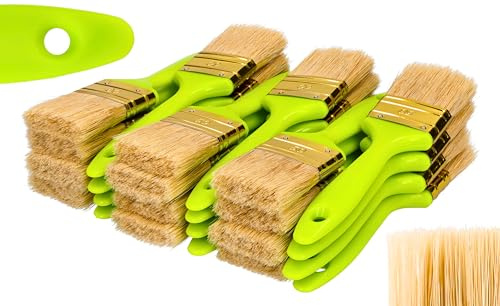 ToolSpace Set med 24 platta borstar – 50 mm – platt borste – ergonomiskt plasthandtag – naturborst med syntetisk hårblandning – täta borst – för alla färgtyper