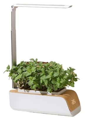 MOOILKO Automatisches Hydrokultur-Anbausystem for den Hausgarten, Indoor-Kräuter-, Blumen- und Gemüse-Kit Gemüse und Obst
