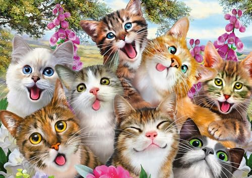 Schmidt Spiele 58391 Katzen-Selfie, 500 Teile Puzzle