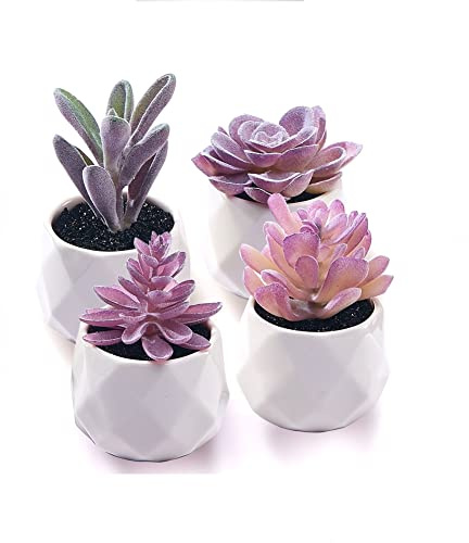 CADNLY Fake Succulent Plant Set - Artificial Desk Plants for Women Desk - Realistic Faux Succulents in Ceramic Pots - Mini Purple Decor for Bedroom Bathroom Office Shelf 4 Pack