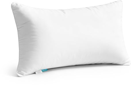 Oubonun 16x24 Throw Pillow Insert – Plush and Supportive Decorative Cushion with 100% Cotton Cover, for Couch, Sofa, Bed, Chair – Pack of 1