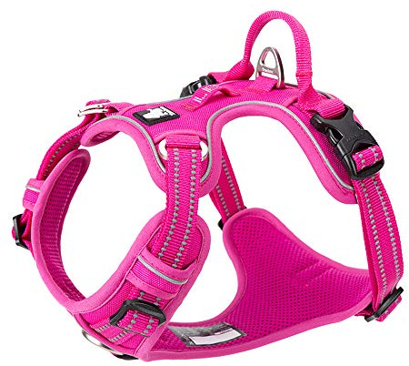 TRUE LOVE Harnais pour Chien No Pull Nylon Souple Réfléchissant Réglable pour Petit Grand Animal Domestique TLH56512(L, Fuchsia)