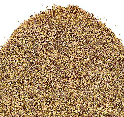 Il Contadino - Antiche Sementi | TRIFOGLIO BIANCO NANISSIMO con RHIZO | Tappeto con foglie molto piccole, Bassa manutenzione, Tagli poco frequenti, Abbastanza resistente all'ombreggiamento (5 Kg)