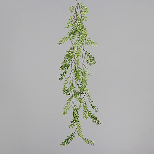 Seidenblumen Roß Ruscusranke/Ruscushänger 120cm DP Kunstpflanzen künstliche Pflanzen Ruscus Ranken