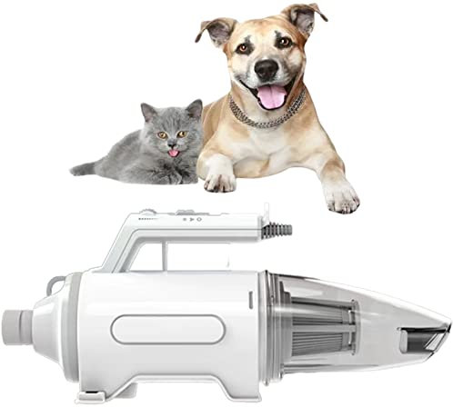 PRUJOY Soffiatore d'Acqua per Animali Domestici Soffiatore d'Acqua all-in-1 a ioni Negativi a Basso Rumore, 3 Tipi di bocchini, per soffiatore d'Acqua per toelettatura di Animali Domestici