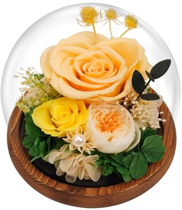 EIGHTOWN Yellow Roses Preserved Real Flower in Glass Dome - Real Rose Gift for Her - Forever Gift for Valentines Day, Mothers Day, Birthday, Anniversary, Wedding, Thanksgiving (Yellow)
