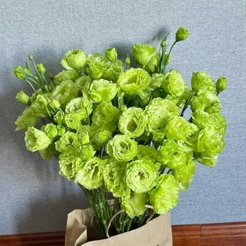 semillas de lisianthus, silvestres, para balcón, resistentes 400pcs