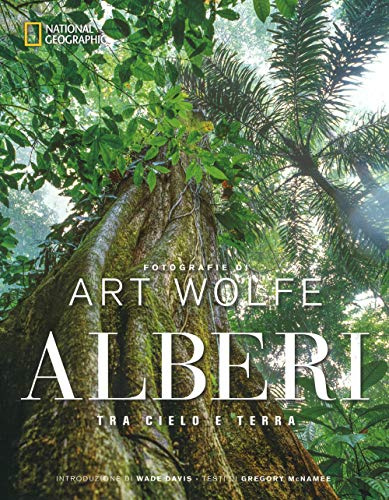 Alberi tra cielo e terra. Ediz. a colori