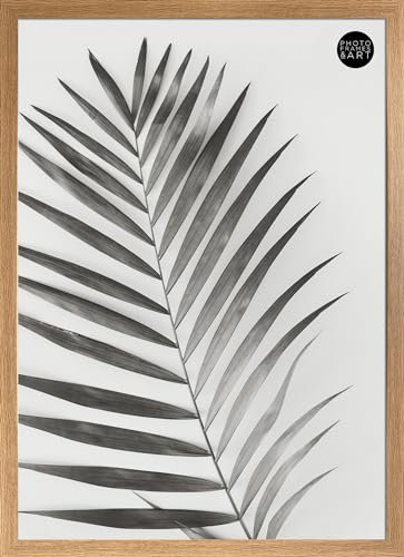 pf+a Wide Oak Effect Frame For 50x70 cm Poster - Perspex Window - 50x70cm Oak Effect Poster Frame / 50x70cm