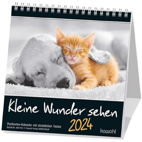 Kleine Wunder sehen 2024: Postkarten-Kalender mit christlichen Texten