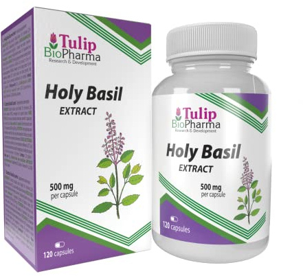 Tulip BioPharma Tulsi Helig Basilika 5 000mg Motsvarande | 120 Kapslar | Räcker i 4 Månader | 10:1 Ocimum Sanctum Extrakt 500mg | Oberoende Labbtestad