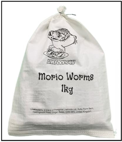 Livefoods4u Live Morio Worms 1kg Bulk Bag 40-60mm | Reptile Live Food