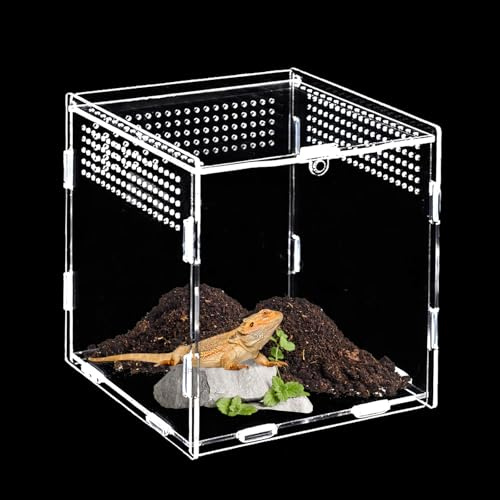 Akrylterrarium (15 cm x 15 cm x 15 cm), miniterrarium, hoppspindel, terrarium, sniglar, reptiler matlåda lämplig för spindlar, ödlor, sniglar, skalbagge