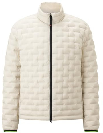 Bogner Fire + Ice Gray 2-D - Herren Leichtdaunenjacke, Größe:50, Farbe:silver birch