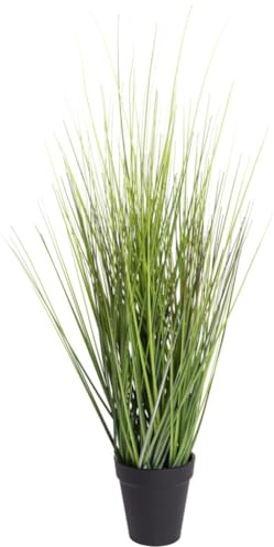 Botanic-Haus künstliches Grasarrangement (Kunstgras/künstliches Gras) im schwarzen Kunststofftopf, Farbe grün, Höhe ca. 60 cm