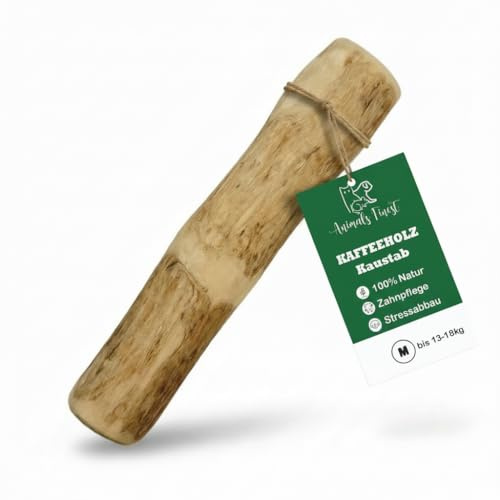 Kaffeeholz Kaustab für Hunde – 100 % natürlich & nachhaltig | Fördert Zahngesundheit & reduziert Zahnstein | Splitterarmes, langlebiges Kauspielzeug für kleine, mittlere & große Hunde (M)