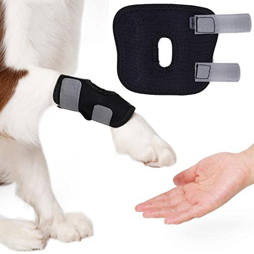 Soporte de Rodilla para Perro, Soporte para Pierna de Perro con Gancho y Lazo, Protector de Pierna Delantera para Perro Soporte para Pierna Trasera de Perro,Black,M