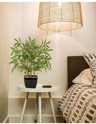 Bambuspflanze im Topf, 60 cm, künstlicher Bambus für Zuhause, Büro, Küche, Badezimmer, Dekoration