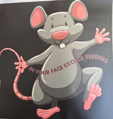 Frozen Small Rats 20 Count, 45-84 Grams Each