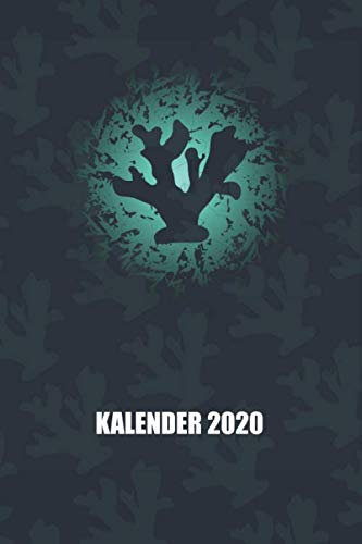 Kalender 2020: Korallen (Riffleben, Band 1)