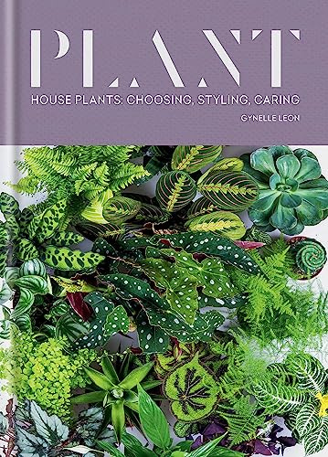 Plant: House plants: choosing, styling, caring