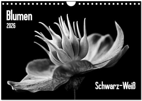 Blumen 2026, Schwarz-Weiß (Wandkalender 2026 DIN A4 quer), CALVENDO Monatskalender: 12 fantastische Blumenaufnahmen in Schwarzweiß (CALVENDO Natur)