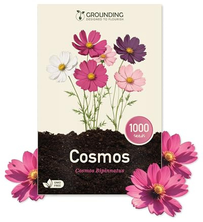 Grounding - Kosmee Samen Mix Weiß, Rosa & Fuchsia, 1000 Samen, Höhe 80–120 cm. Cosmos bipinnatus ideal für Beete und Schnittblumen – Einfache Aussaat, lange Blüte, Europäische Qualität