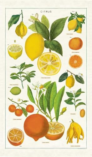 Cavallini - Cotton - Citrus Tea Towel