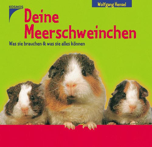 Deine Meerschweinchen: Was sie brauchen & was sie alles können