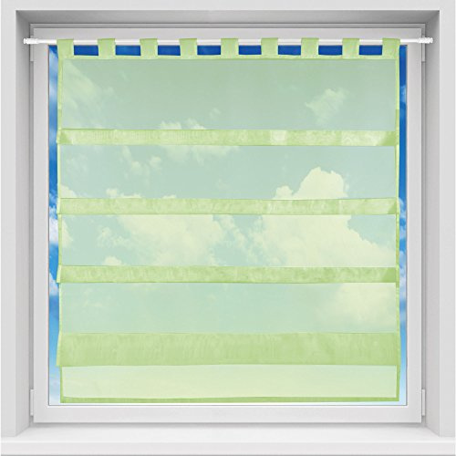 Bestgoodies Bistrogardine in transparent mit Raffoptik, einfarbige und lichtdurchlässige Voile-Scheibengardine mit Schlaufe, in vielen Größen verfügbar (100 x 110 cm/grün - Apple)
