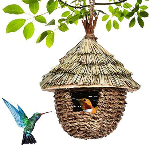 Nido Uccello All'Aperto, Nido Uccello Fatta A Mano, Canna Secca, Piccoli Uccelli Come Colibrì, Tette, Casa Uccello Esterno