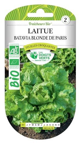 Graines Laitue batavia blonde de Paris BIO Les Doigts Verts