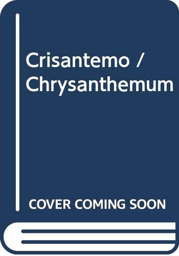 Crisantemo / Chrysanthemum