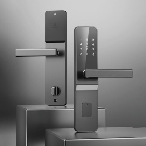 Intelligentes Türschloss mit Passwort-Diebstahlschutz, elektronisches Türschloss für TTlock-Passwortschloss für Fernbedienung (elektronisches Modell)