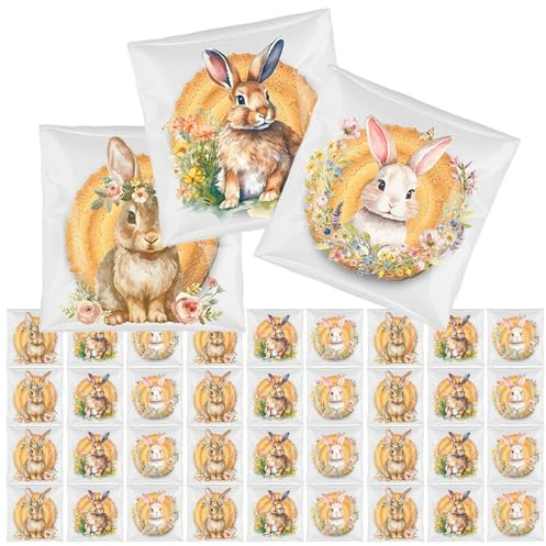 Fesnova Ostern 100 Stück Selbstklebend Plastiktüten, 7 x 7 cm Selbstklebende Cellophantüten Ostereier, Ostereier Klein Plastiktüten für Kekse Süßigkeiten Schokolade Schmuck Ohrringe