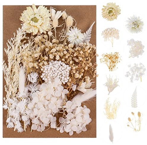 AhlsenL Real Natural Dried Flowers - Mixed Hydrangeas, Daisies, White Decorative for DIY Candle Resin Jewelry Nail Pendant Crafts (Beige)