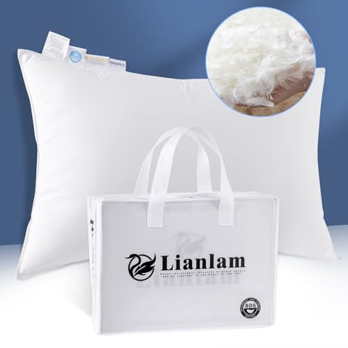 LIANLAM Luxury Goose Down Pillow, 800 Thread Count Cotton Shell, Soft Down Pillows for Sleeping (1 Pack, 20x31)
