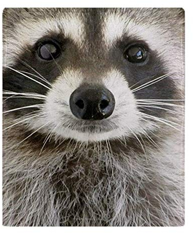 YISUMEI Decke Waschbär Kuscheldecken Weich Flanell Fleecedecke Bettüberwurf(150x200cm)