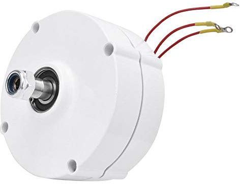 Synchronmotor, 12 V 100 W Windkraftanlage, Permanentmagnet Generator, 3 Phasen Synchrongenerator NE-100 für Haust Industriellen Einsatz(Generator)