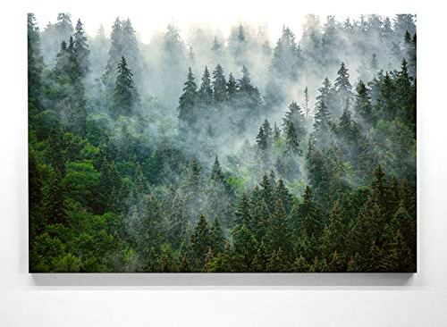 BilderKing Wald Leinwand, Motiv – Nebelstimmung - als 90x60cm großes Leinwandbild. Ein wunderschönes Wandbild als Hintergrund und Deko für Wohnzimmer & Schlafzimmer. Aufgespannt auf Holzrahmen