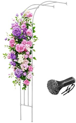 Arche de jardin pour plantes grimpantes – Treillis pour extérieur, 240 x 240 cm, blanc, parfait pour les roses et les vignes, décoration de jardin robuste et élégante.