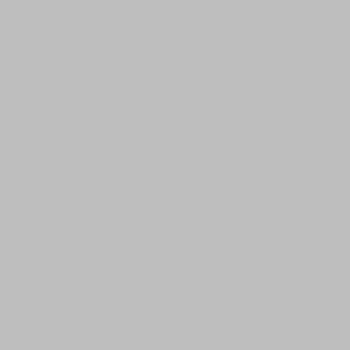 Farbige Acrylglasplatte A5 (210 x 148 x 3mm) 18 Farben und farblos zur Auswahl Kunststoffplatte klar transparent Plastik Hobby Acryl, Farbe:grau