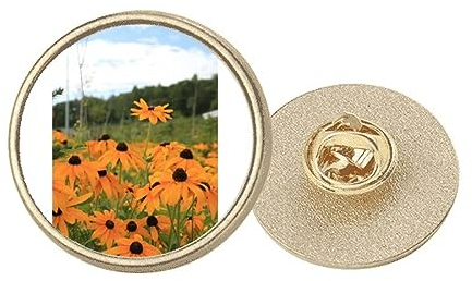 Brokat Art Deco Art Deco Brosche, rund, Metall, goldfarben, Orange, M, Metall