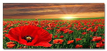 Morbuy Personalisierte Fußmatte Rutschfester Türvorleger mit 3D-Landschaftsdruck, Schmutzfangmatte Waschbar Fussmatte Innen Badteppiche (40x120cm,Rote Mohnblumen)