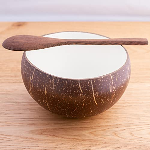 Cocobowl Spirit - Cuenco grande de coco natural con cuchara de madera de ébano